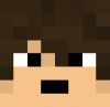 Seans Minecraft Head.png