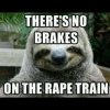 brakes on the rape train.jpg
