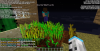 2015-01-02_21.03.34.png