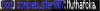 Report 1 (Creative) (Cussing).png