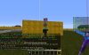 budderscam5.jpg