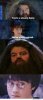 youre-a-wizard-harry.-youre-a-hairy-wizard..jpg