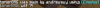 tomer report.png