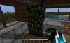 trapped location.jpg