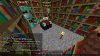 Minecraft-06-17-2015 19-27-32.jpg
