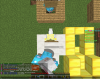Report#7.PNG