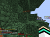 2015-08-12_12.20.23.png