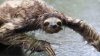 upload_2016-2-5_15-29-23.jpeg