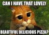Please Cat.jpg