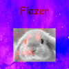 Flazer.png