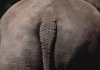 upload_2016-4-25_20-42-49.jpeg