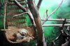 upload_2016-4-26_7-28-15.jpeg