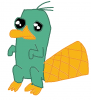 perry.png