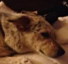 upload_2016-7-7_20-58-35.png