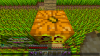 upload_2017-11-28_8-58-59.png
