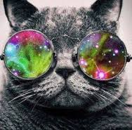 coolavatar300