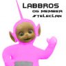 Labbros